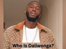 Who Is Daliwonga